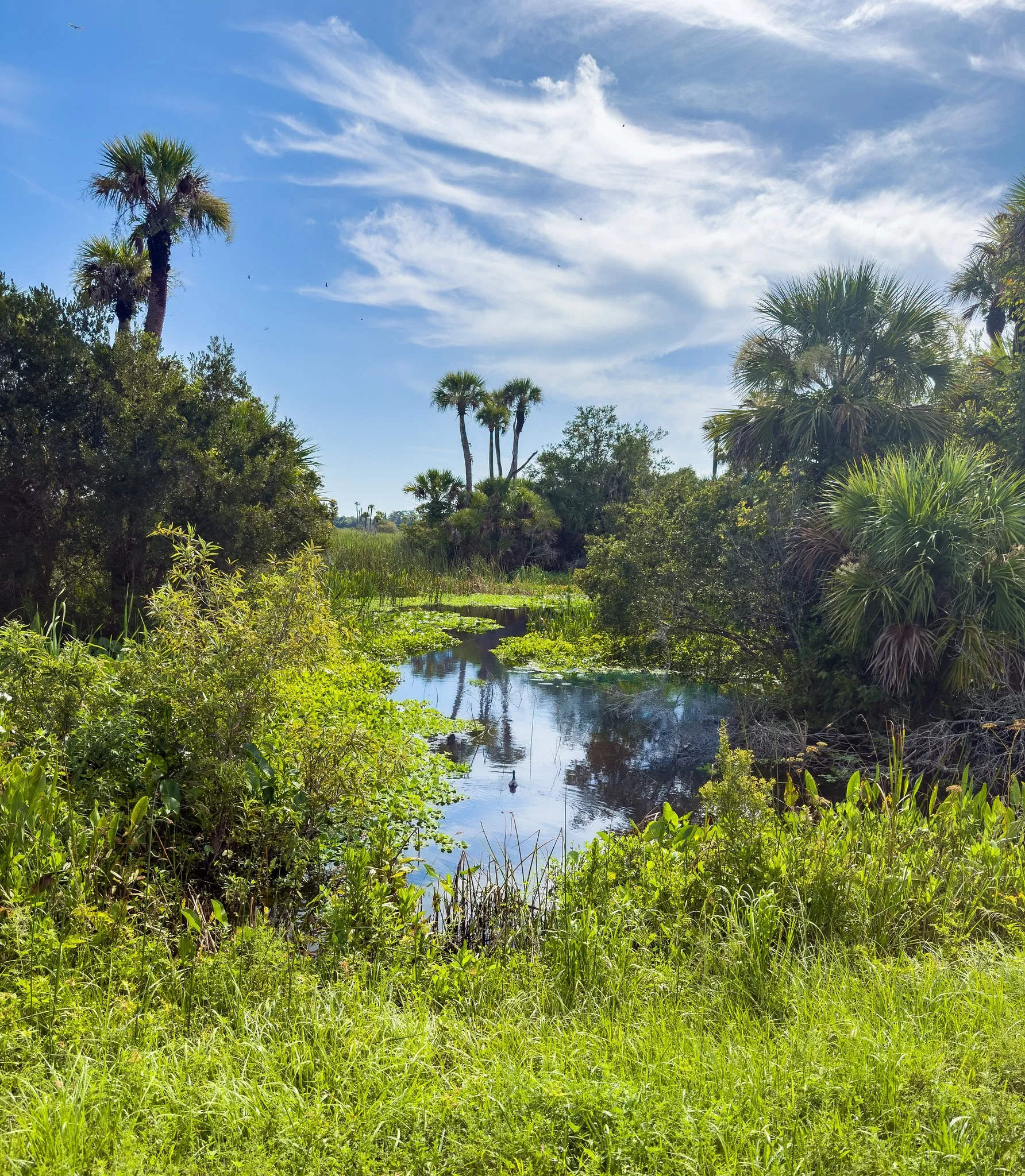 Orlando Wetlands Park