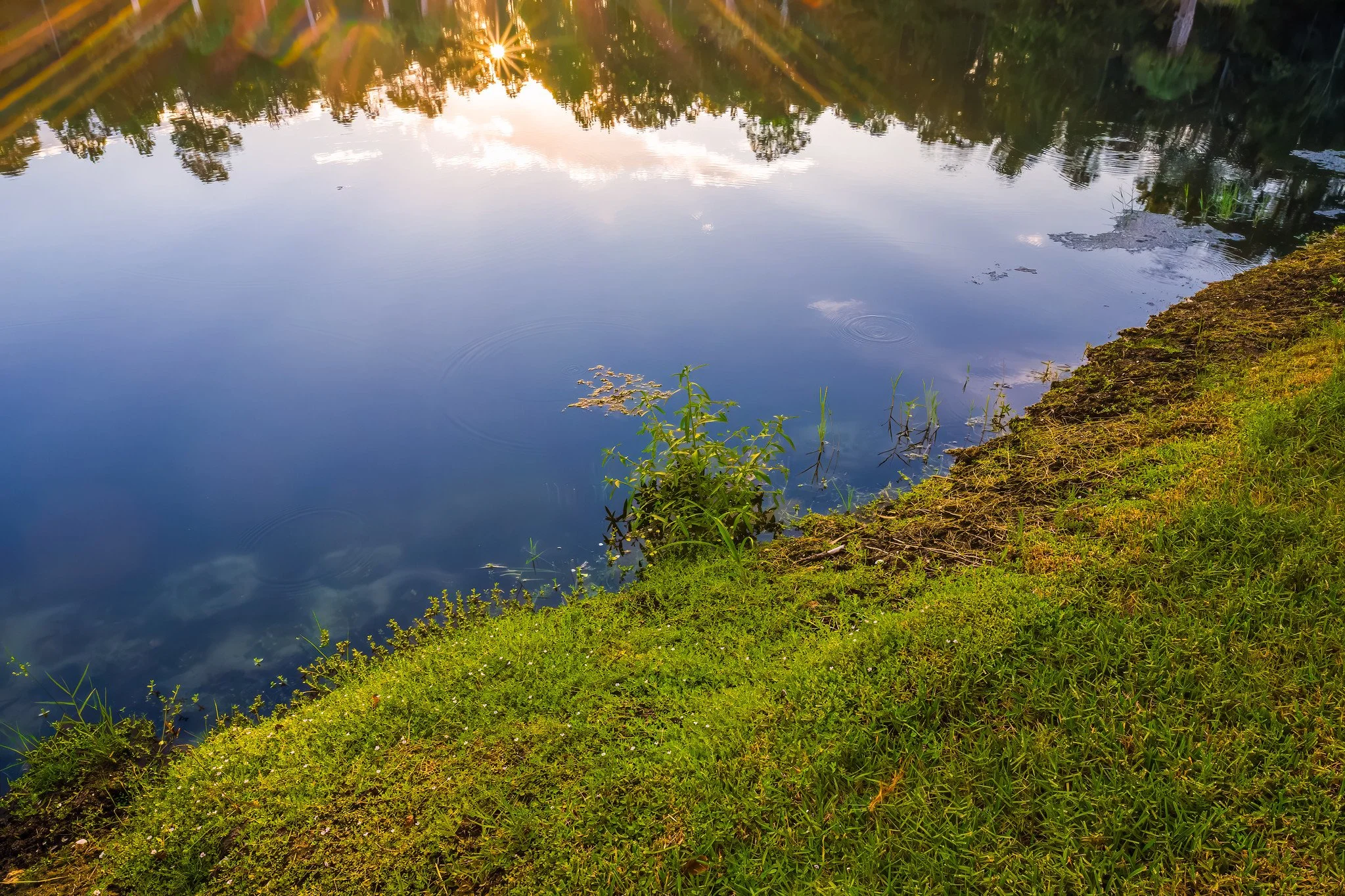 Enclaves Pond