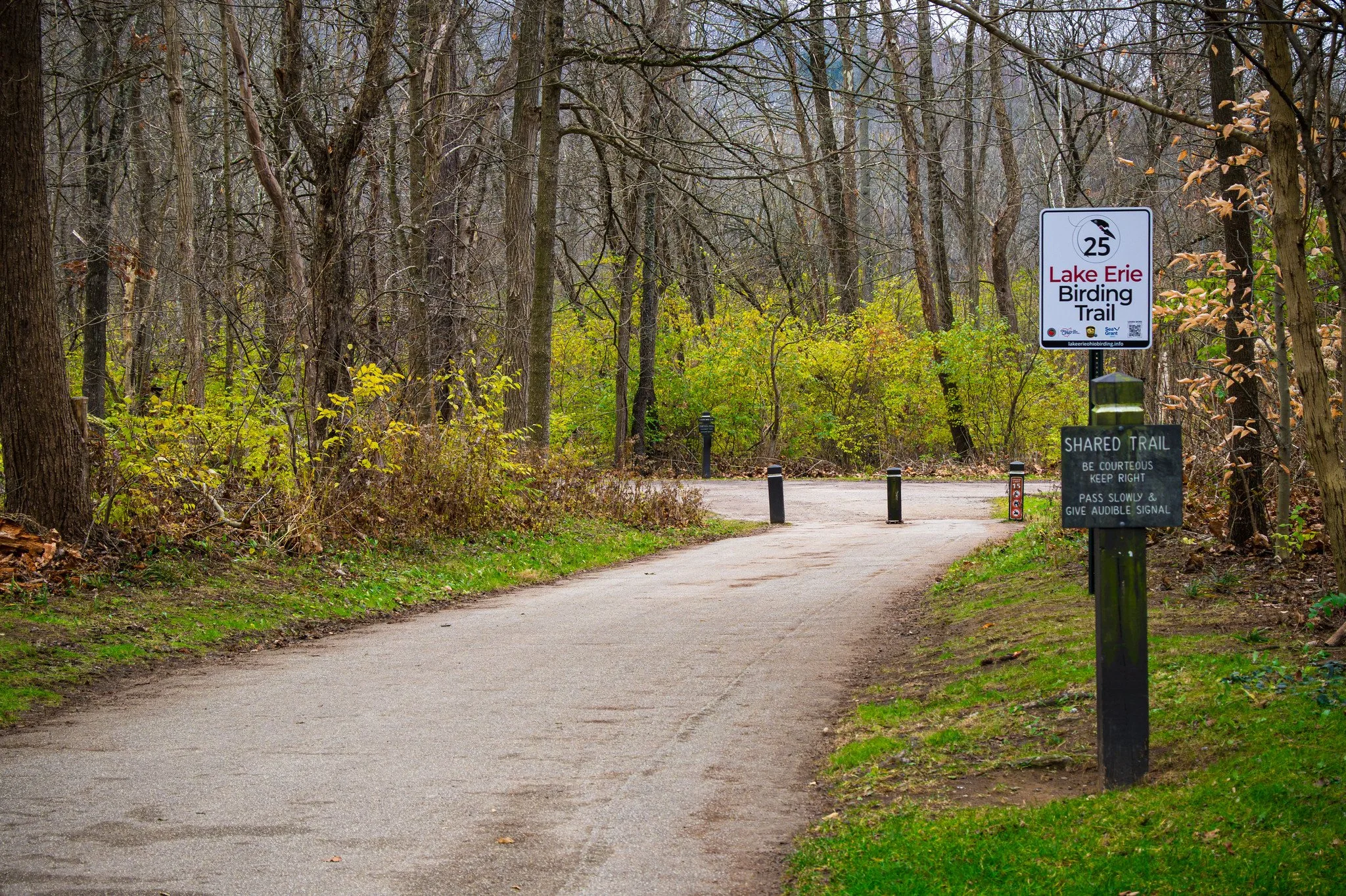 Lake Erie Birding Trail