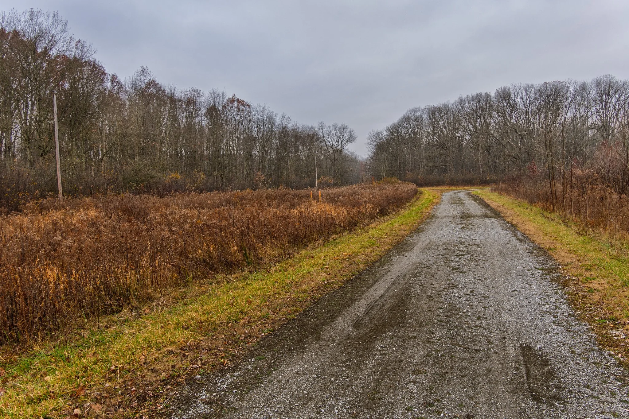 Overcast Morning