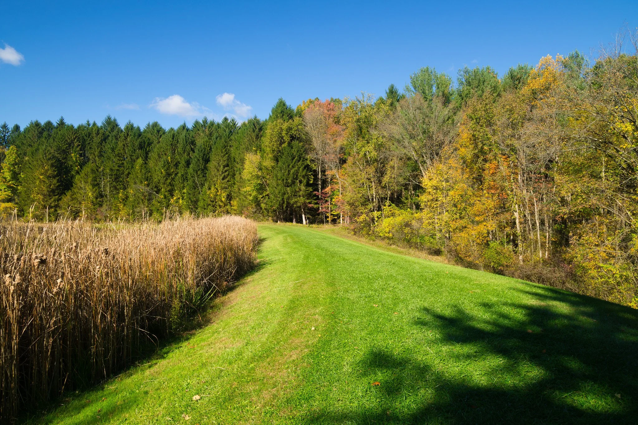 Horseshoe Pond