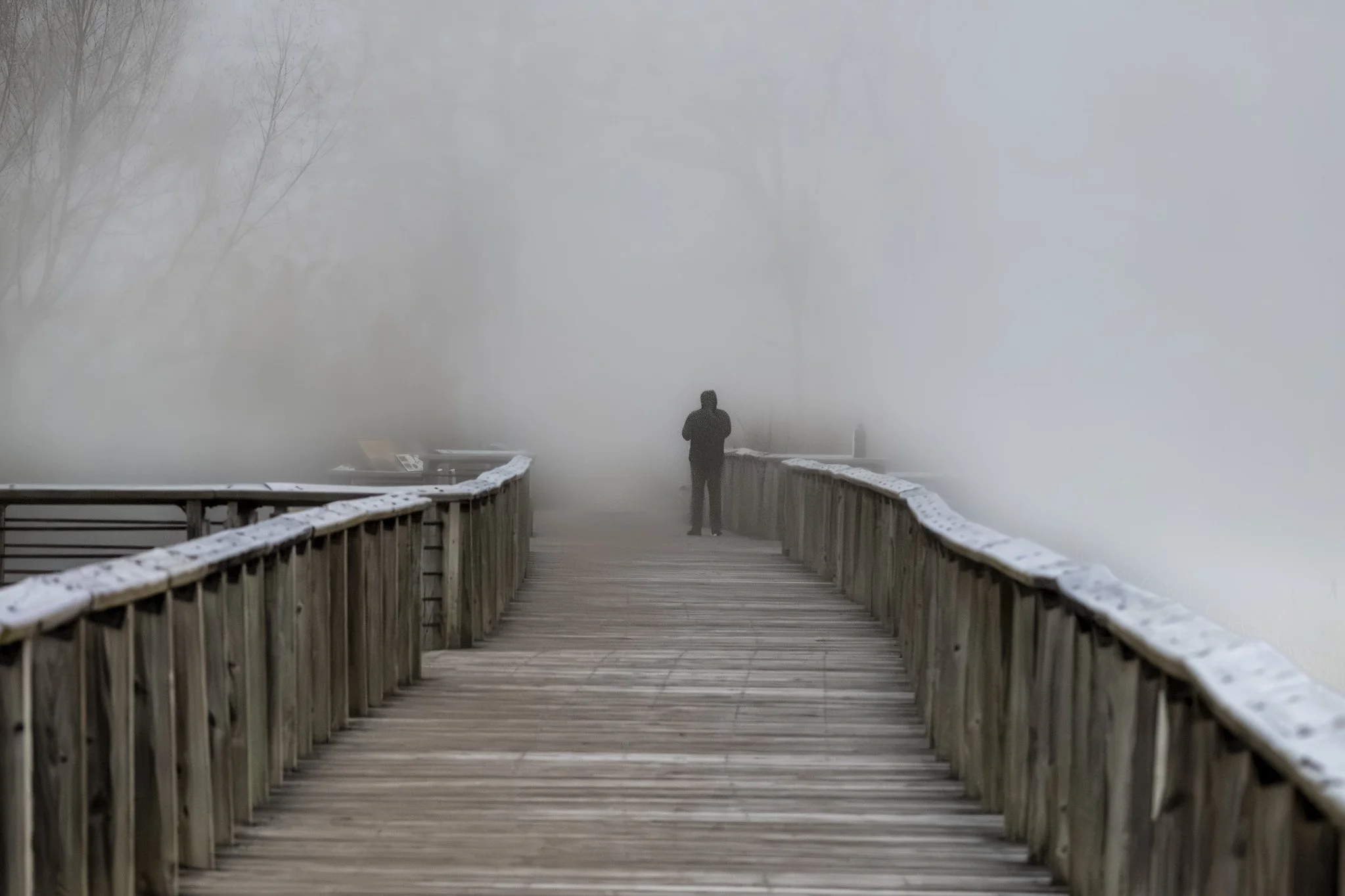 Foggy Morning at the Marsh