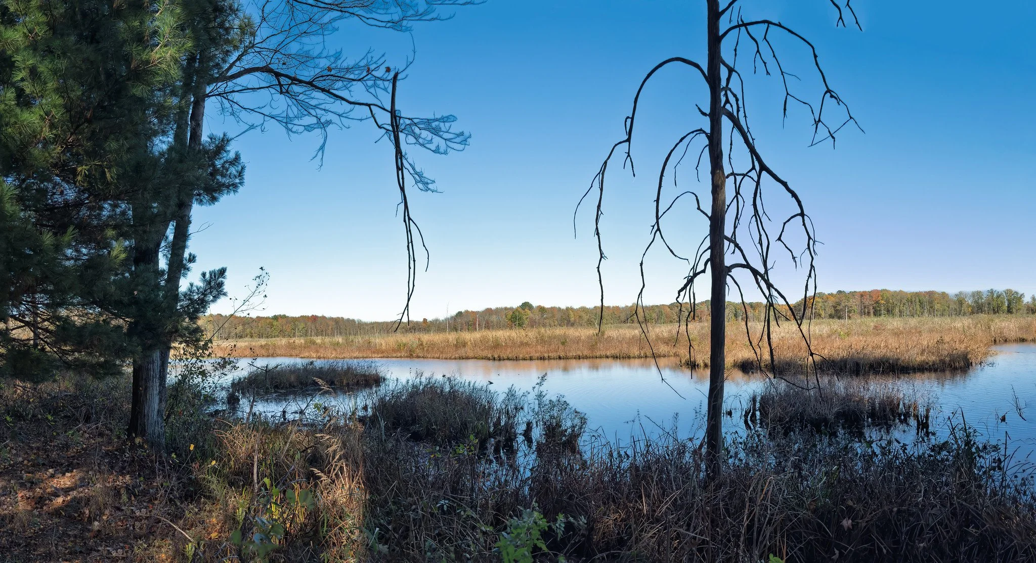 IMG_4447-Pano