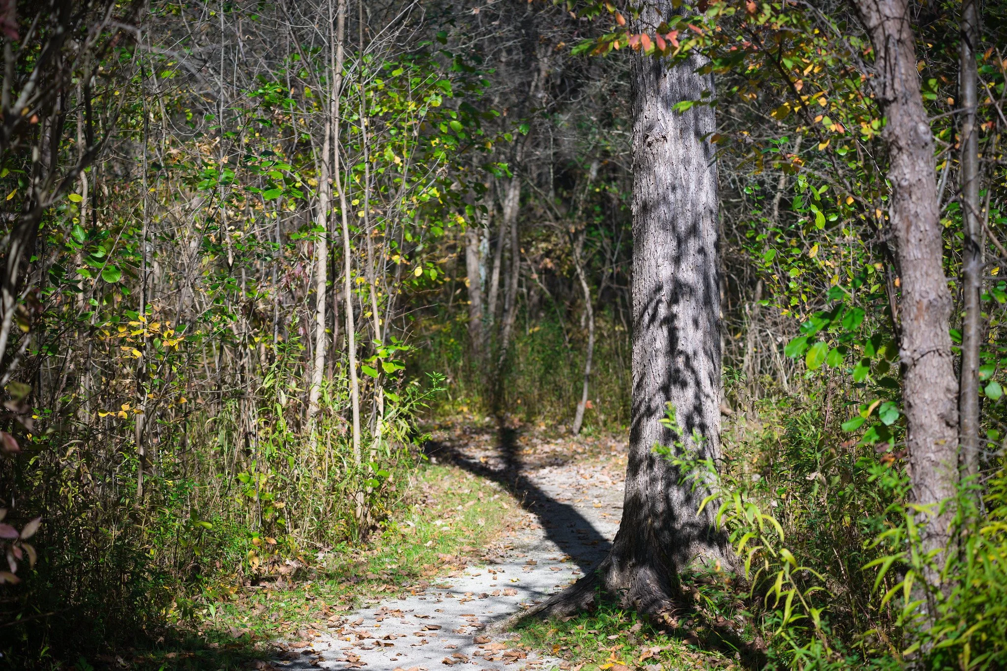 Tinkers Creek State Nature Preserve