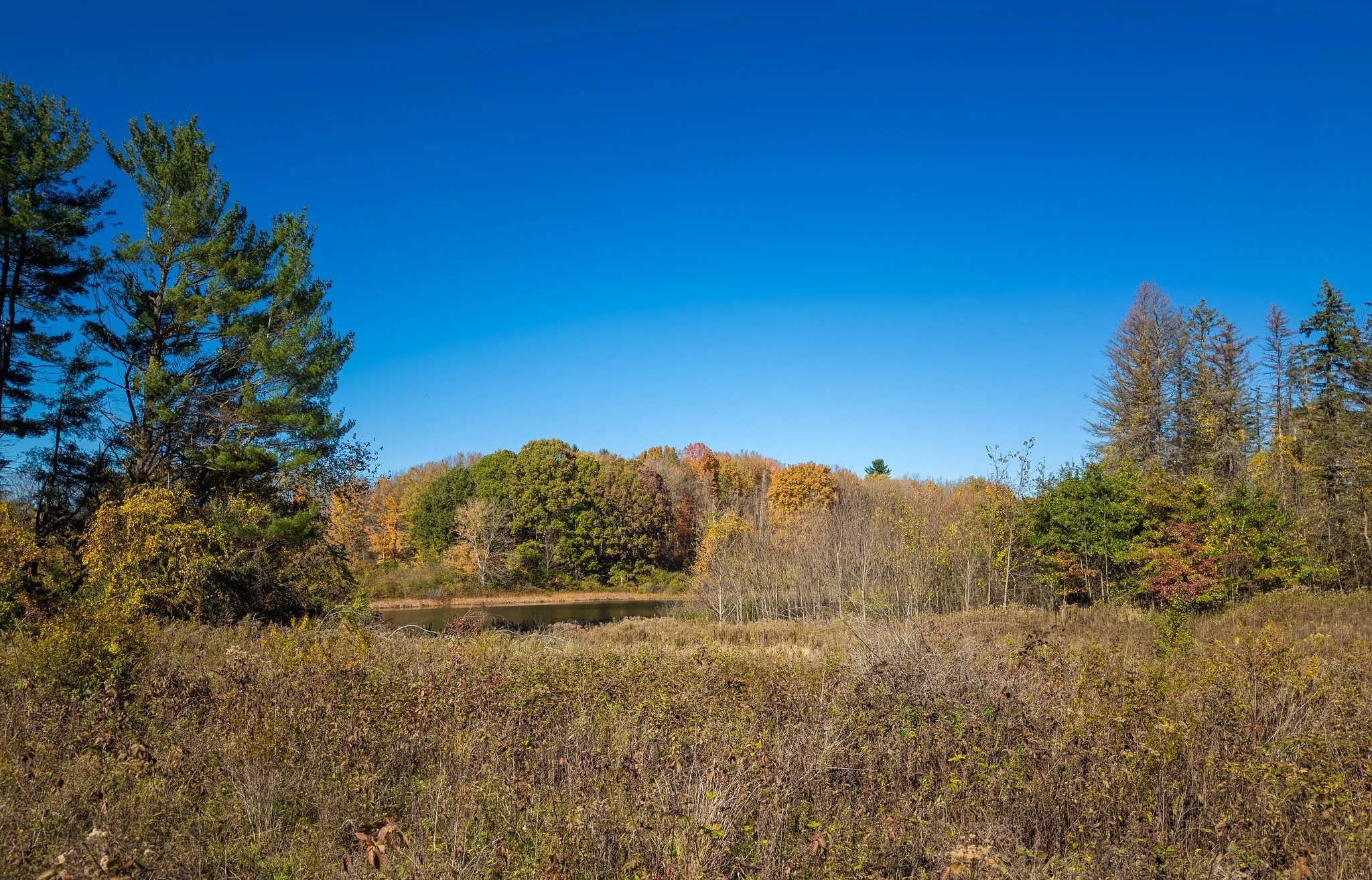 Gressard Lake