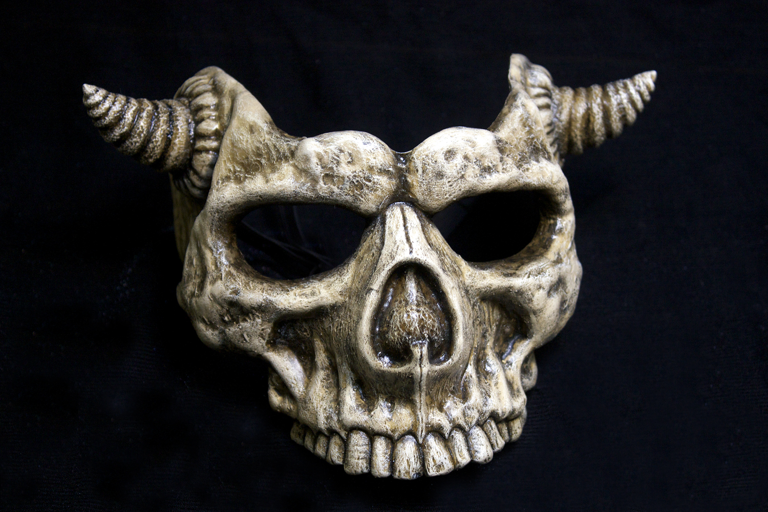 SKULL (with Short Horns)