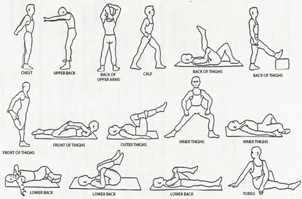 Upper Back Torso Stretch Online Deals Up To 51 Off Lavalldelord Com Upper Back Torso Stretch Online Deals Up To 51 Off Lavalldelord Com