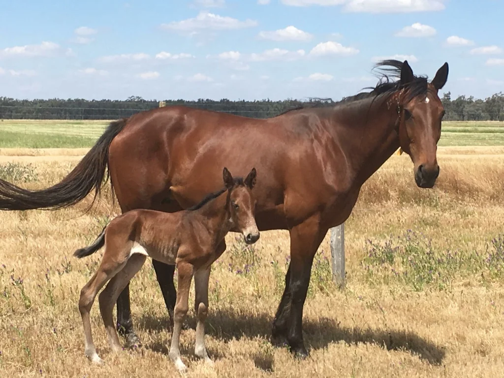 Gotta love this one!