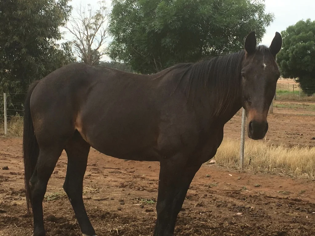 Many reasons for optimism