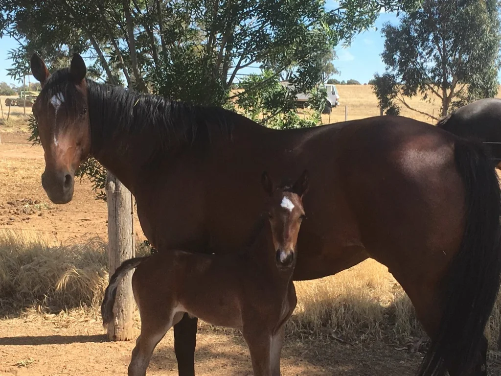 Every reason to be a future star