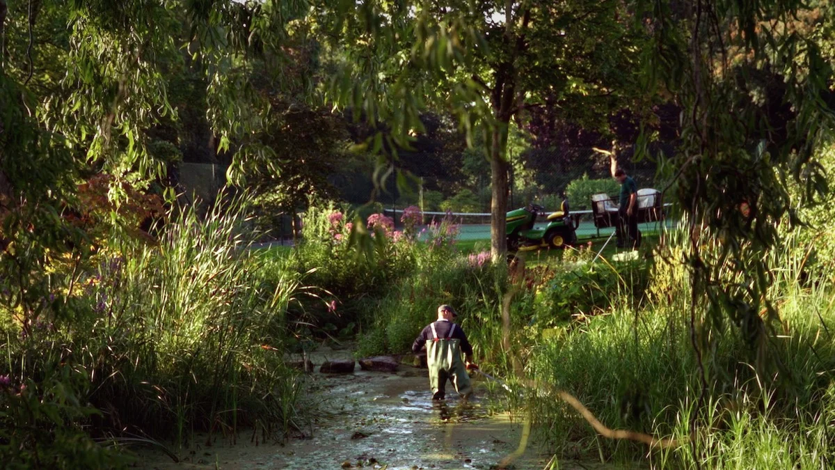 abbotswood_pond.jpeg