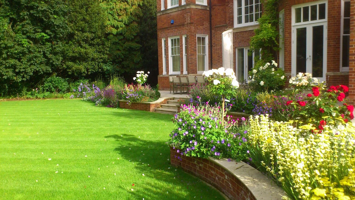 How to inject more colour into your garden