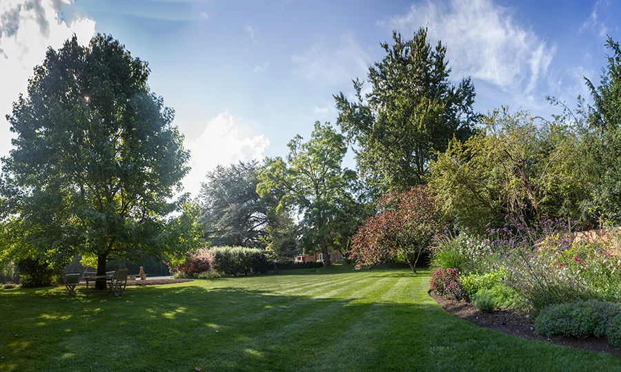 How to get your garden camera-ready