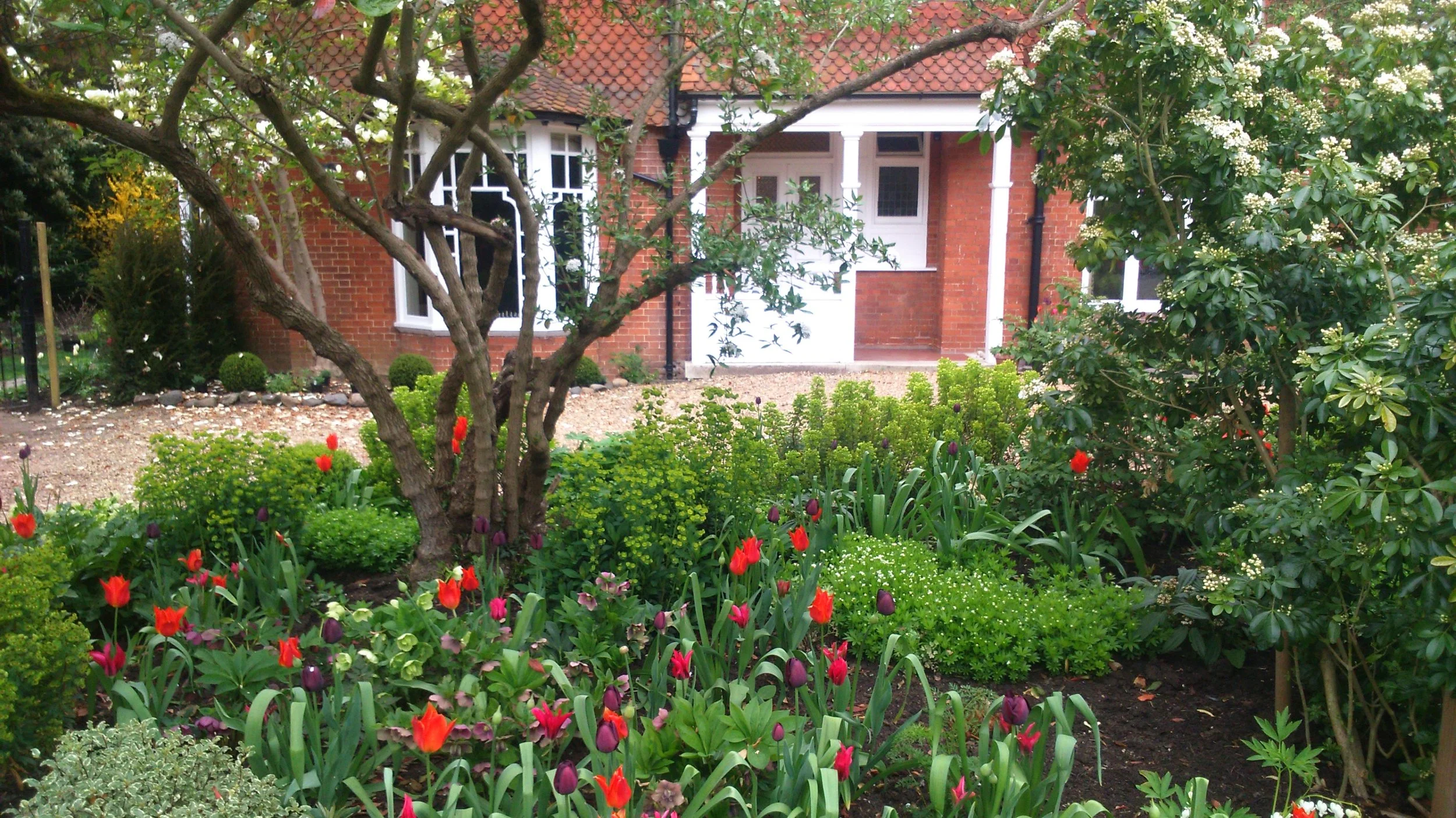 Fortune favours the bulb