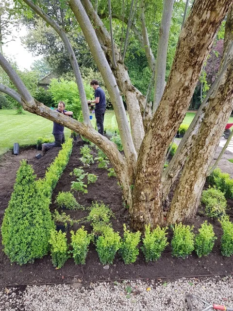 Apprentice Robbie Matthews works alongside Abbotswood gardener Jordan Parrett