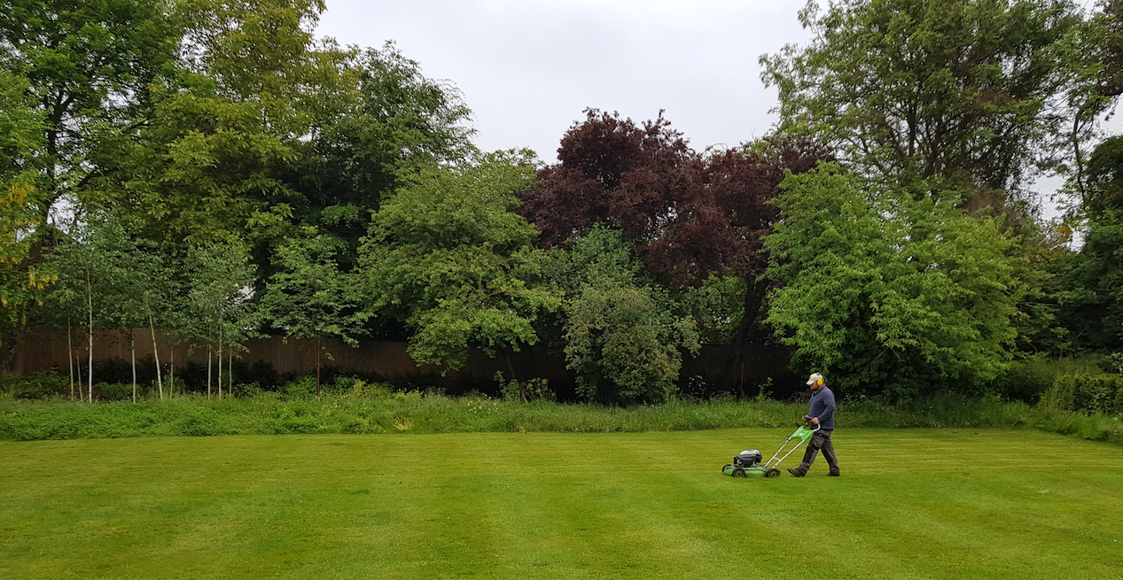 lawn cutting.png