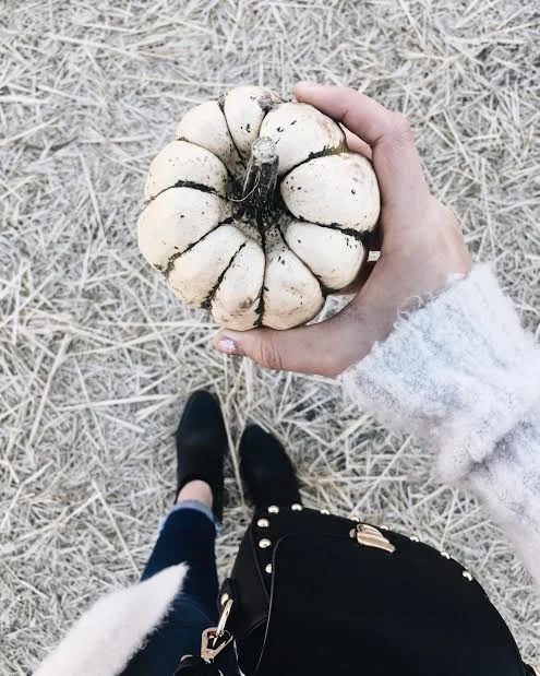 Picking Pumpkins Round #2