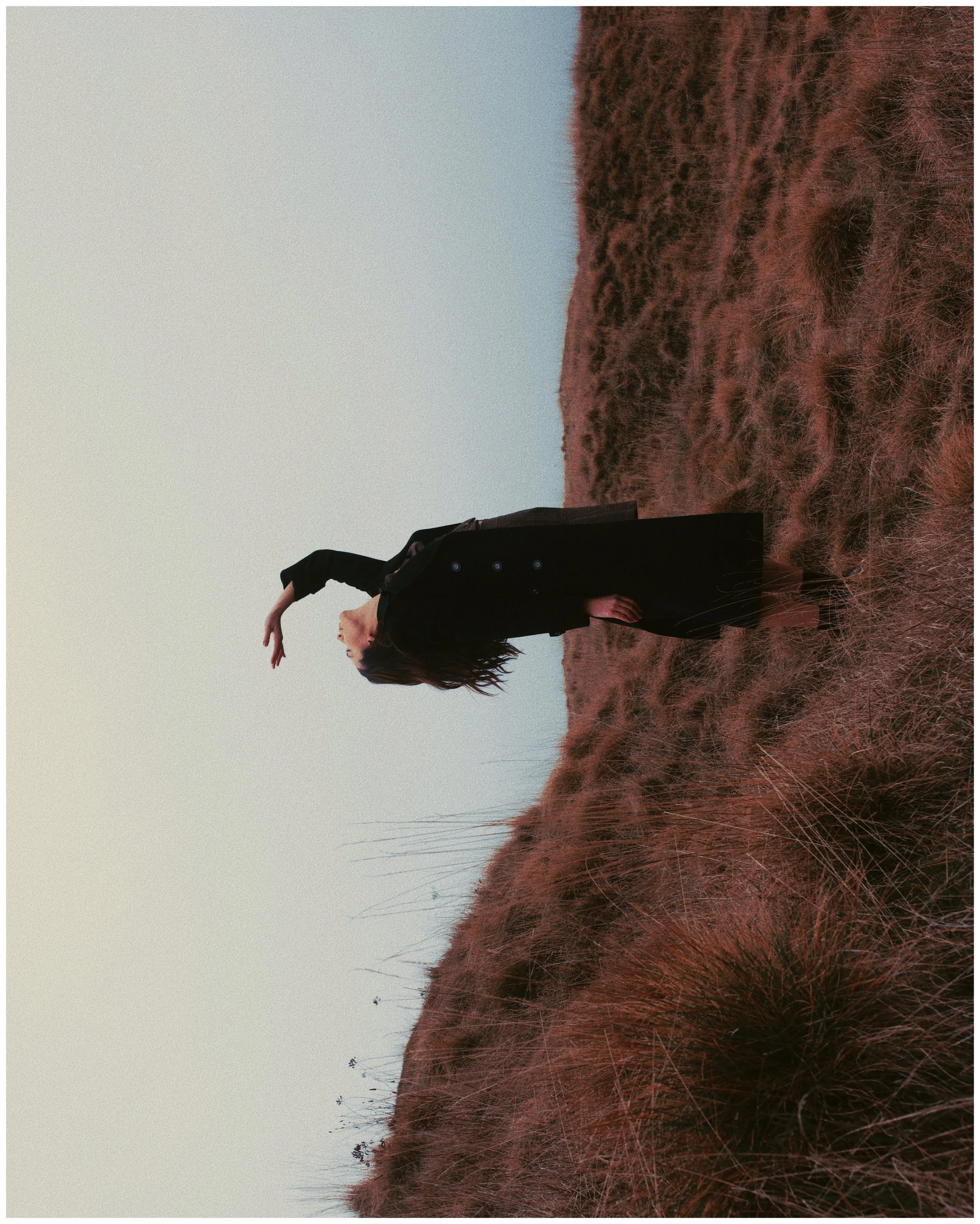 AfterlightImage 202.JPG