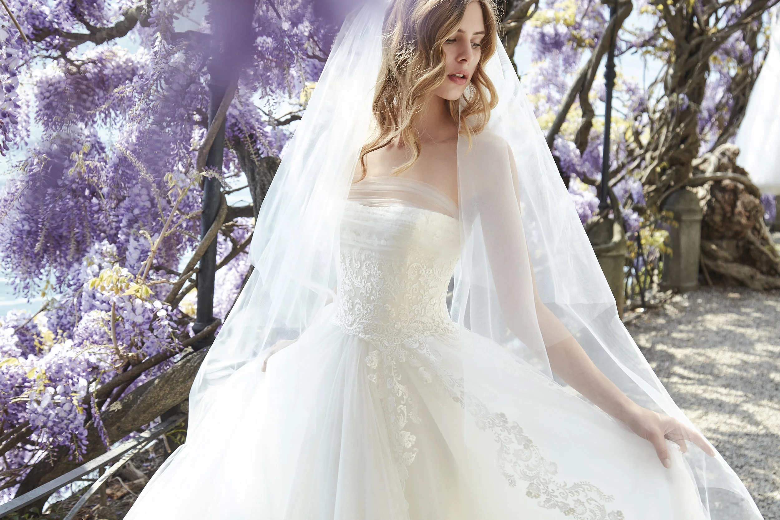 Glicine e Spose by Elisabetta Polignano