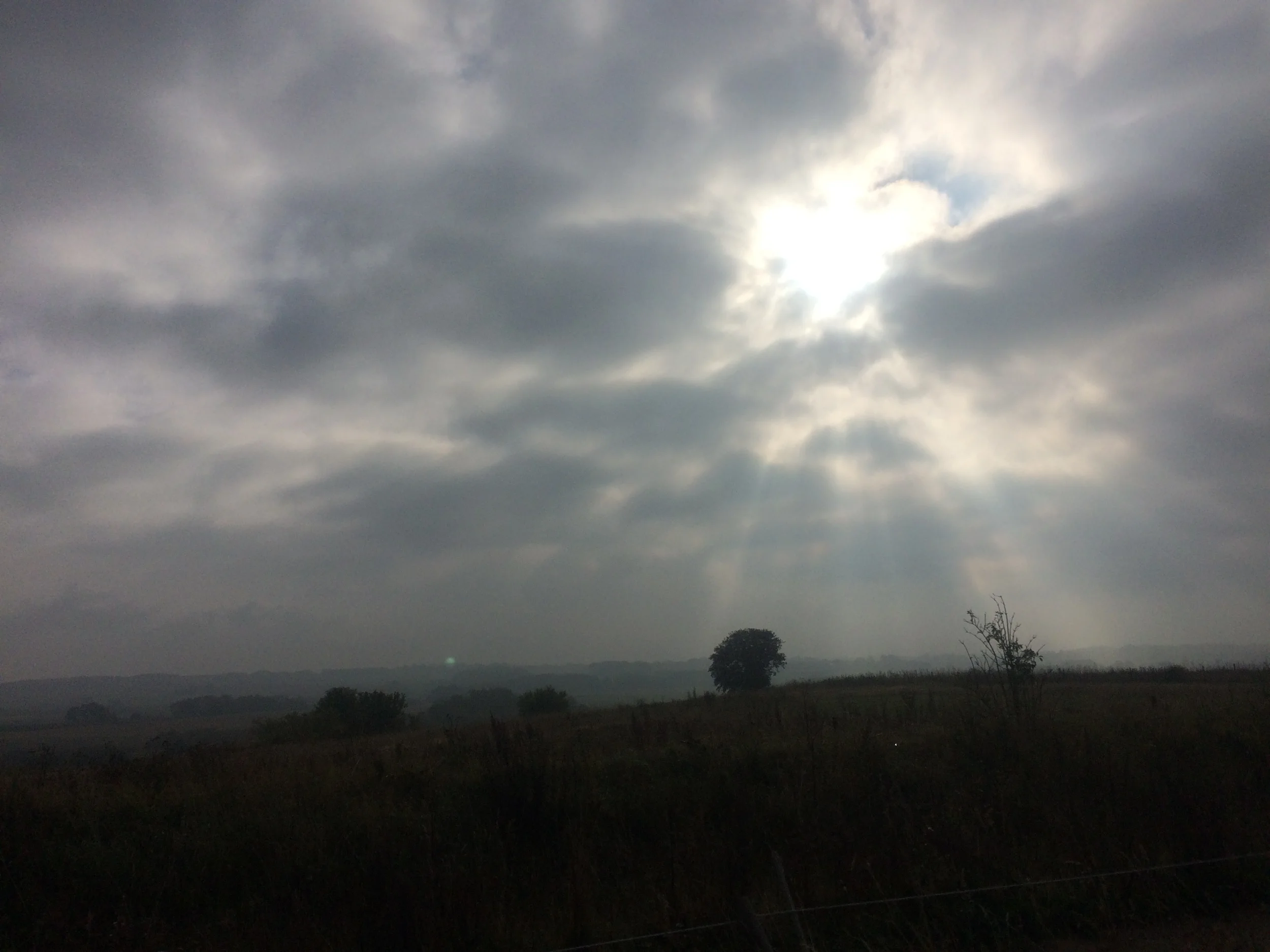 20151005_081132385_iOS.jpg