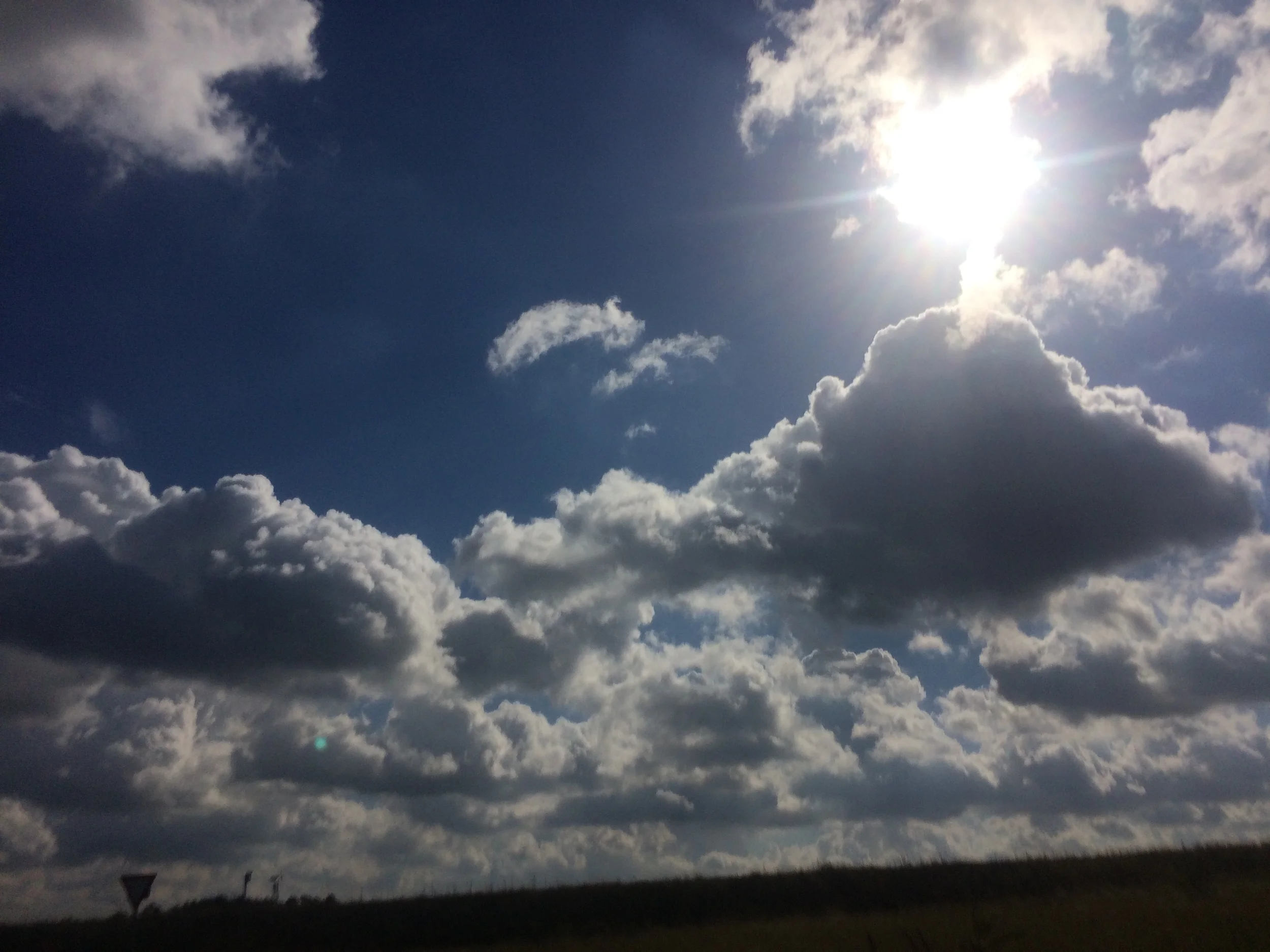 20150918_100625604_iOS.jpg
