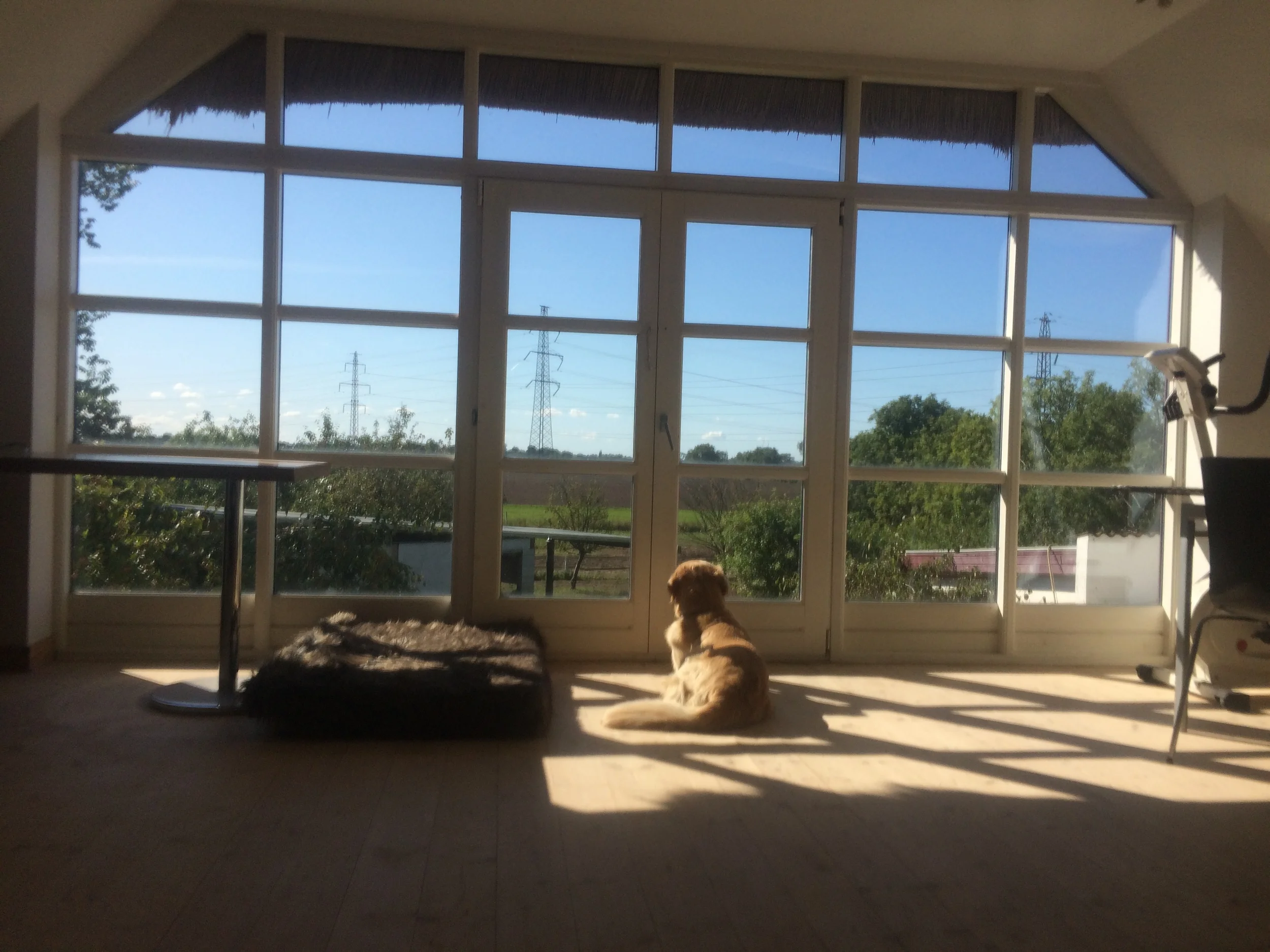 20150907_125939030_iOS.jpg