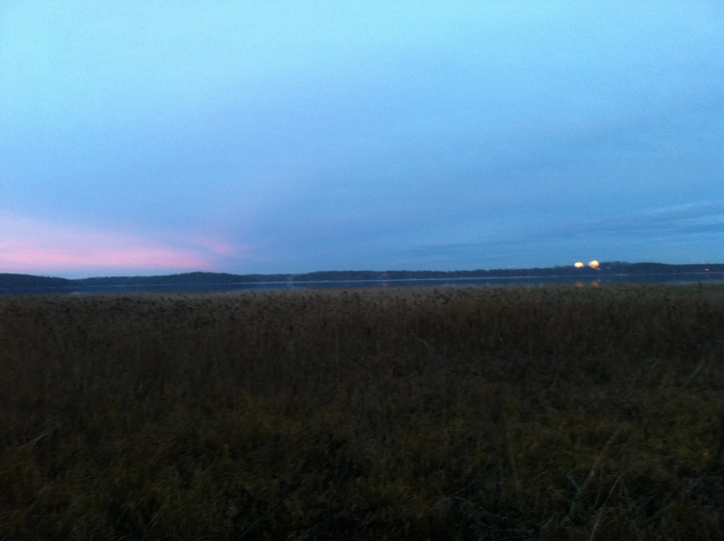 2013-11-09T13-15-40_10.jpg