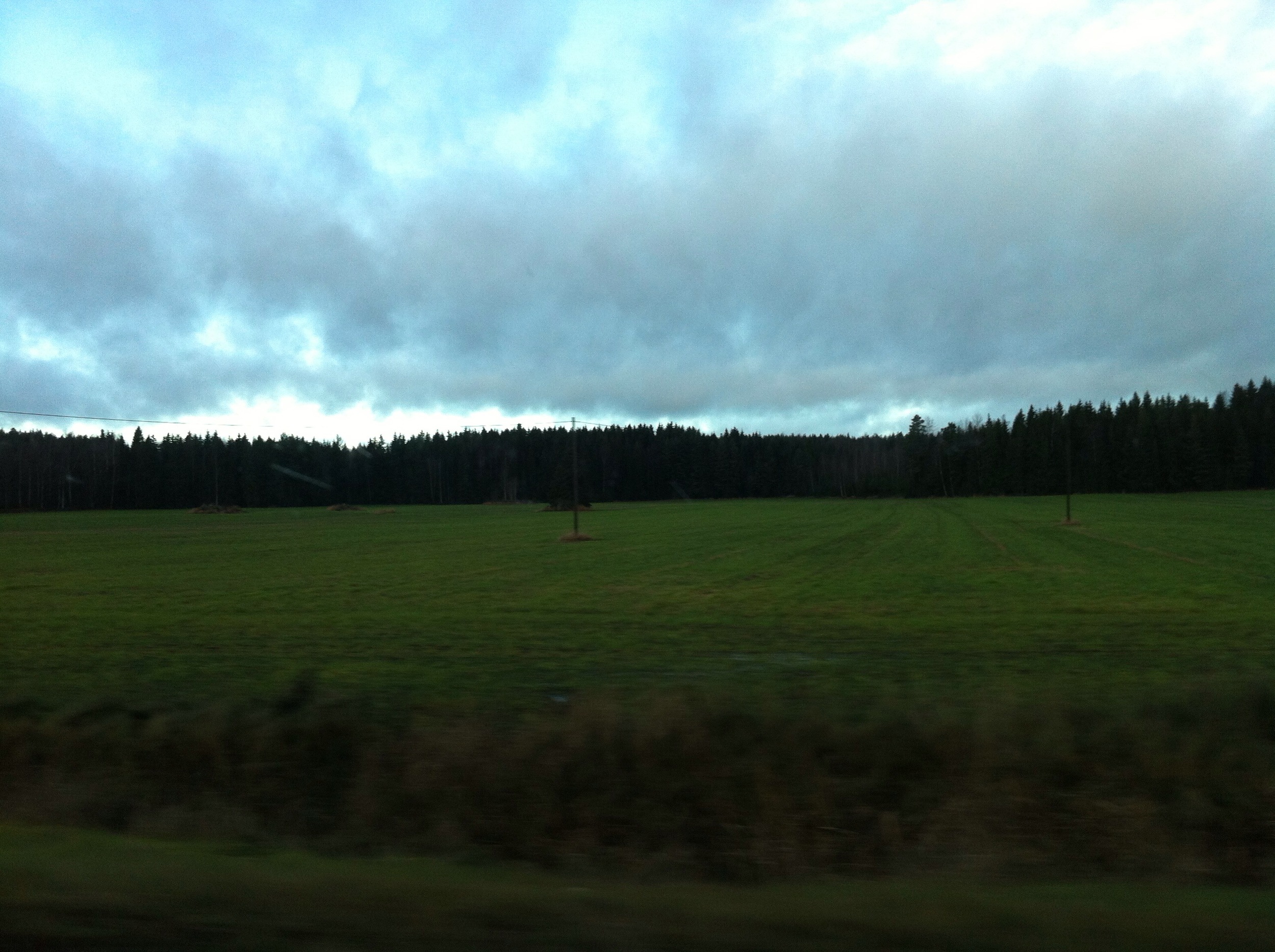 20131116_082728835_iOS.jpg
