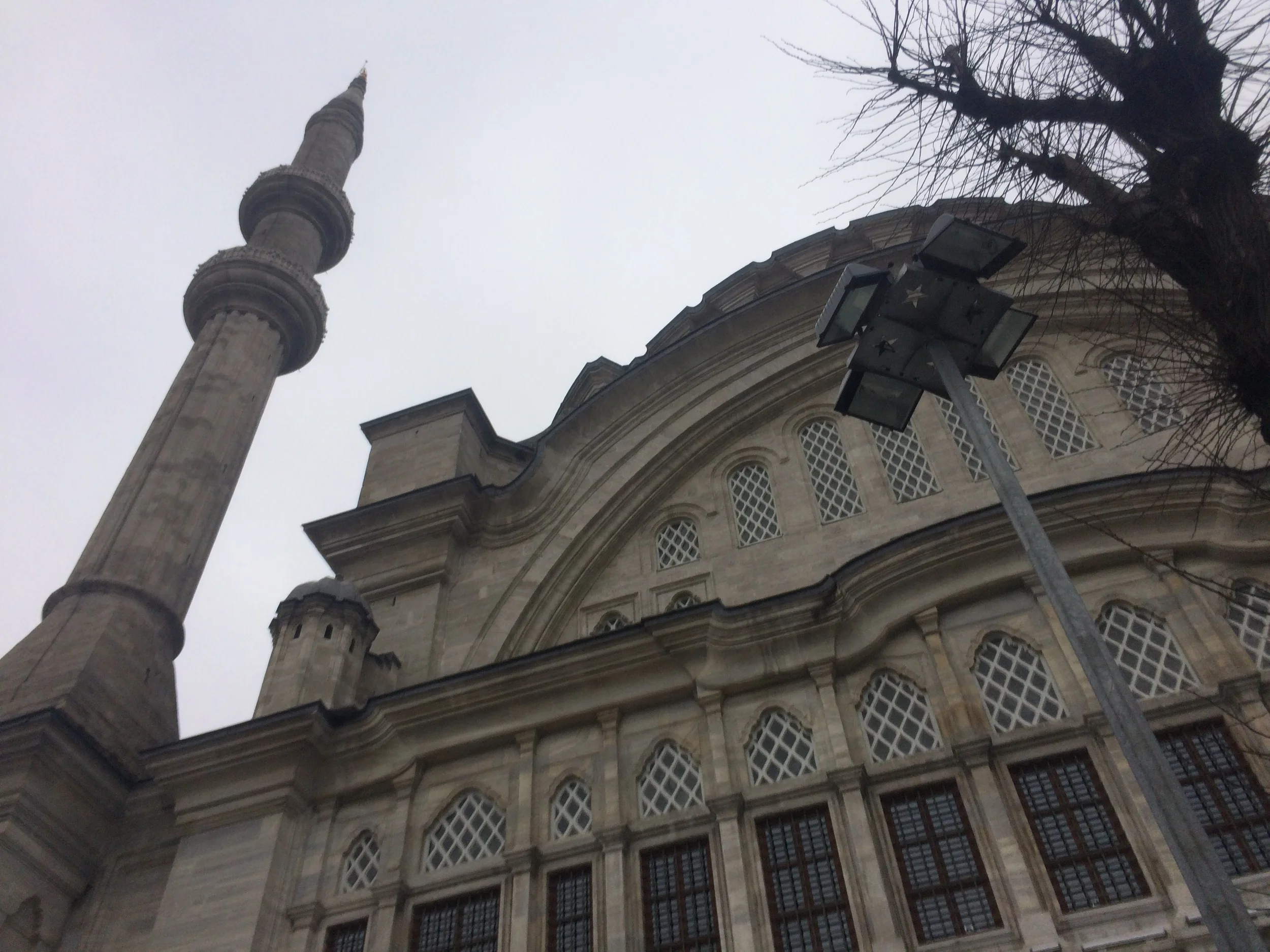 20150331_103120313_iOS.jpg