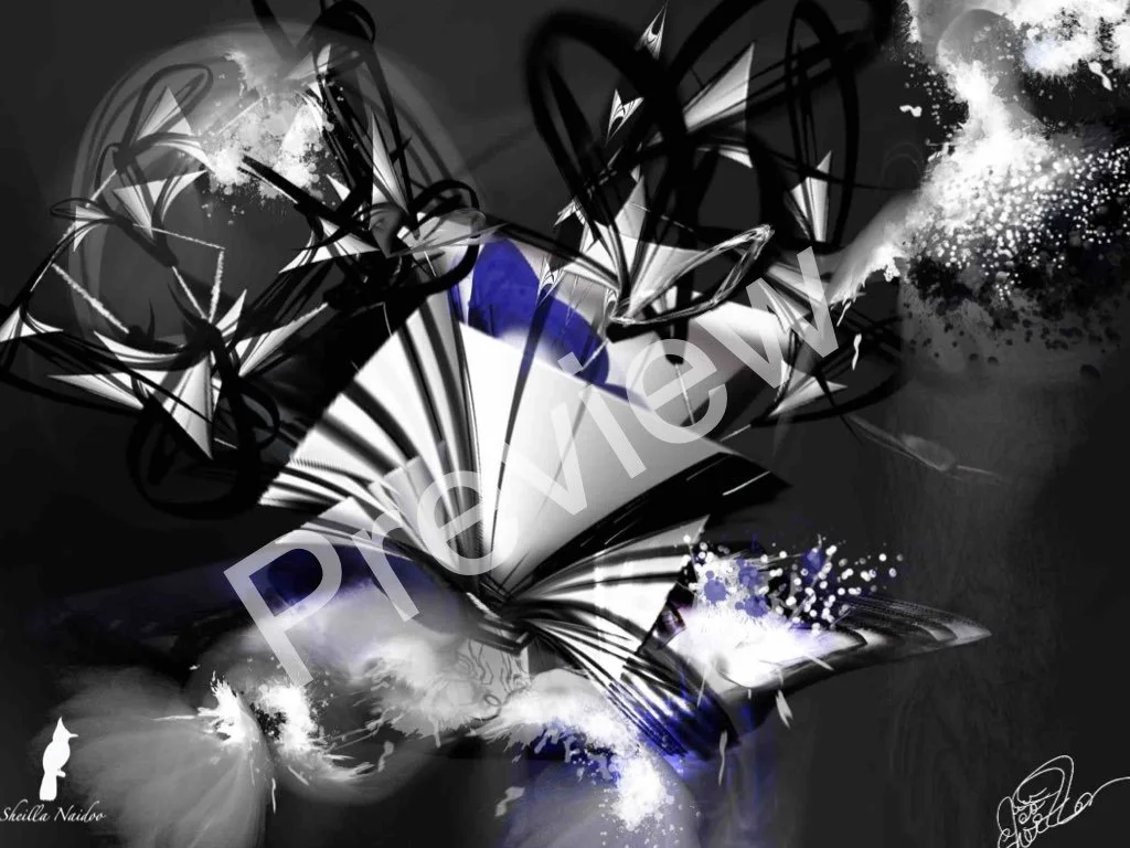 Sheilla Naidoo's Abstract Art - Splash 12