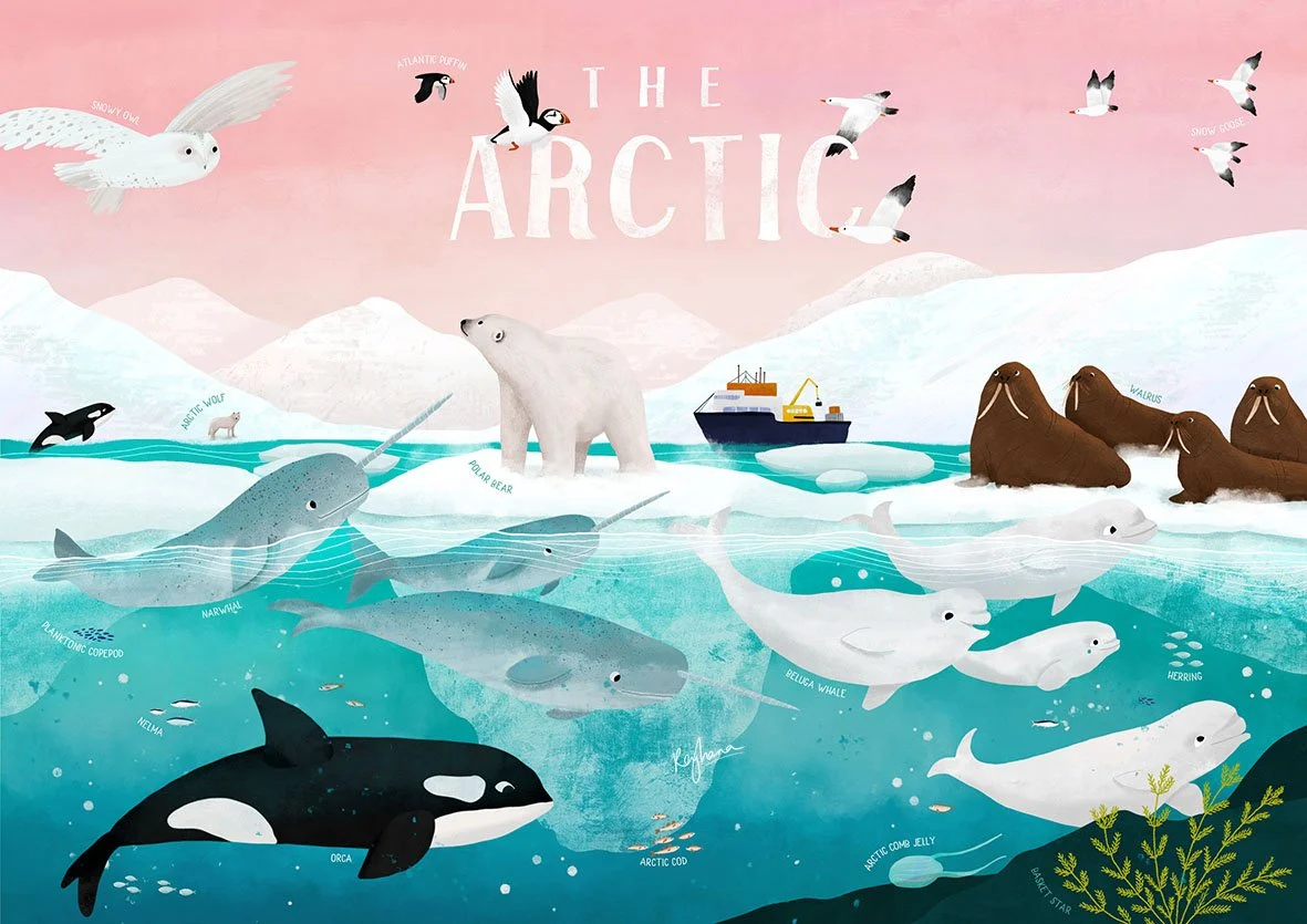 Arctic(web).jpg