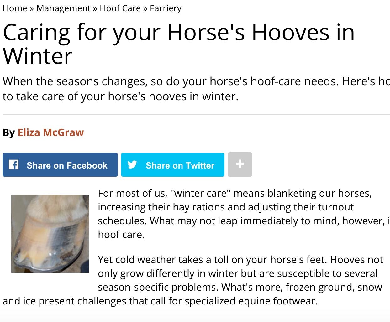 Caring For Your Horse's Hooves In Winter
