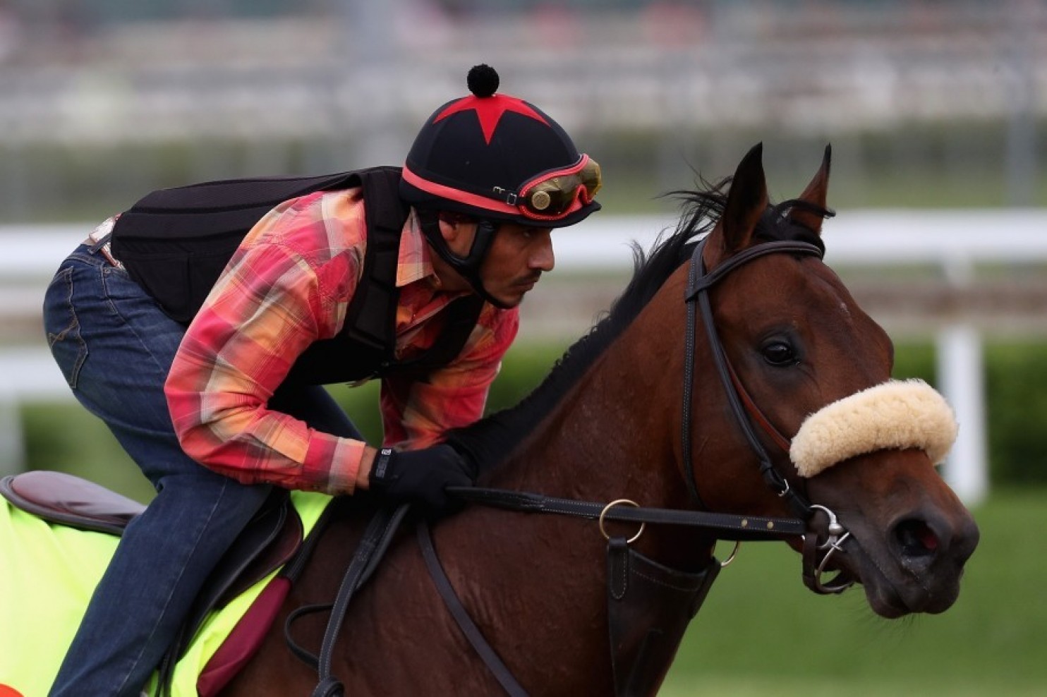 Think Picking A Baby Name Is Tough? Try Naming A Thoroughbred.