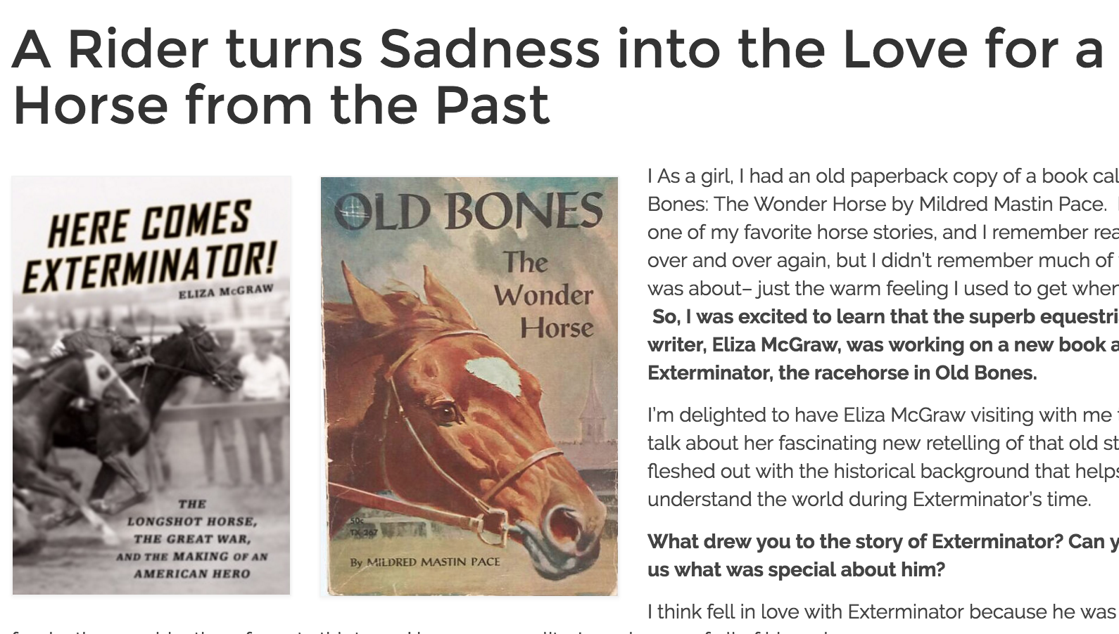 A Rider turns Sadness into the Love for a Horse from the Past