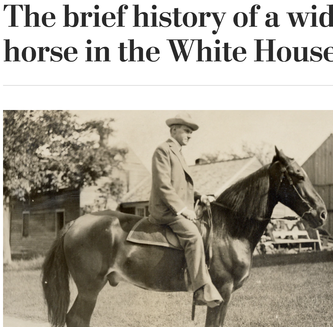 The Brief History Of A Widely Mocked Electric Horse In The White House