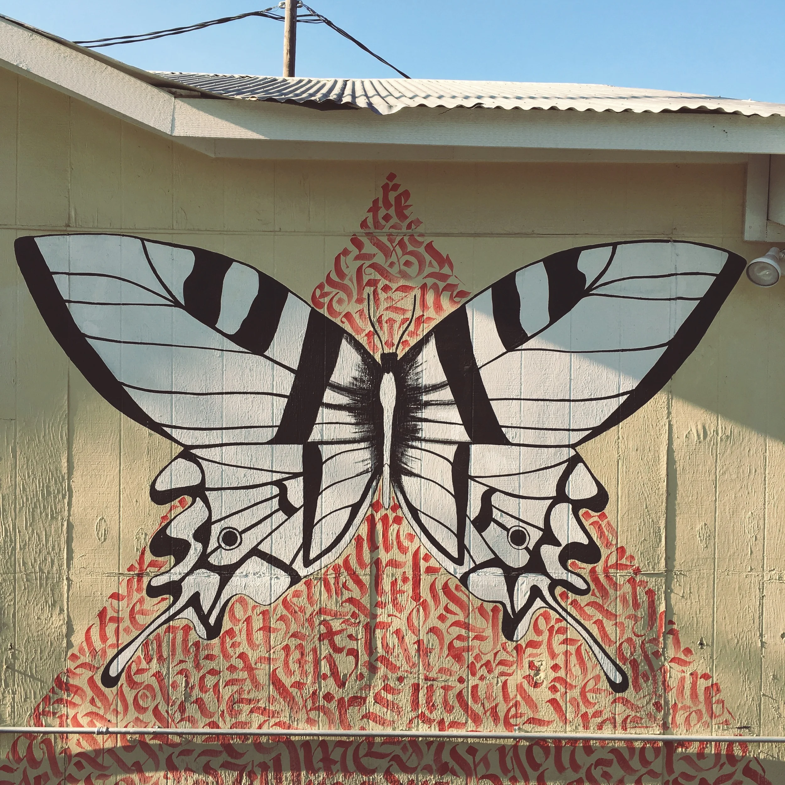 Butterfly mural at the Art for the People gallery