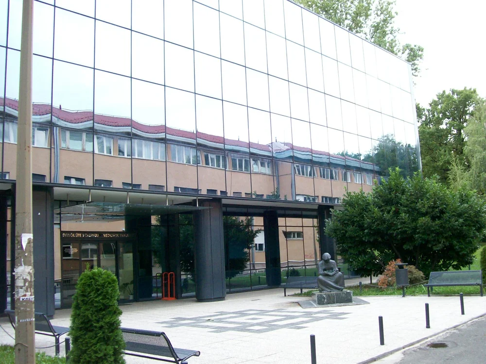 Medizinstudium Im Ausland Aktuelles