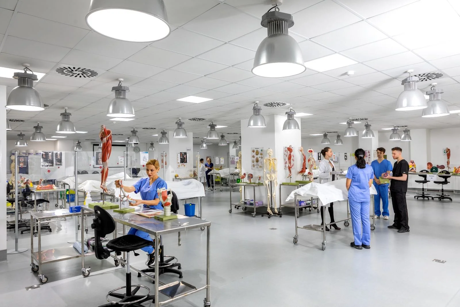 Med1-small.jpg