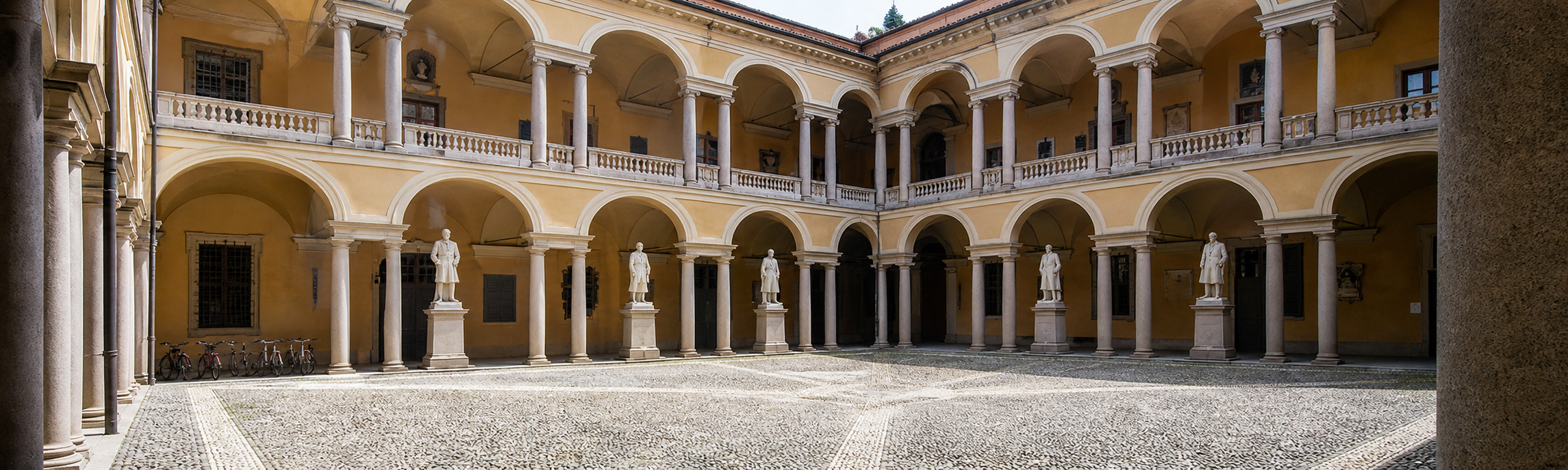 Header Pavia.png