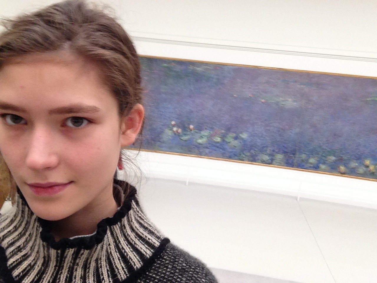 Monet's Waterlilies, Musee de l'Orangerie