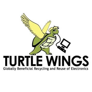 turtlewings.jpeg