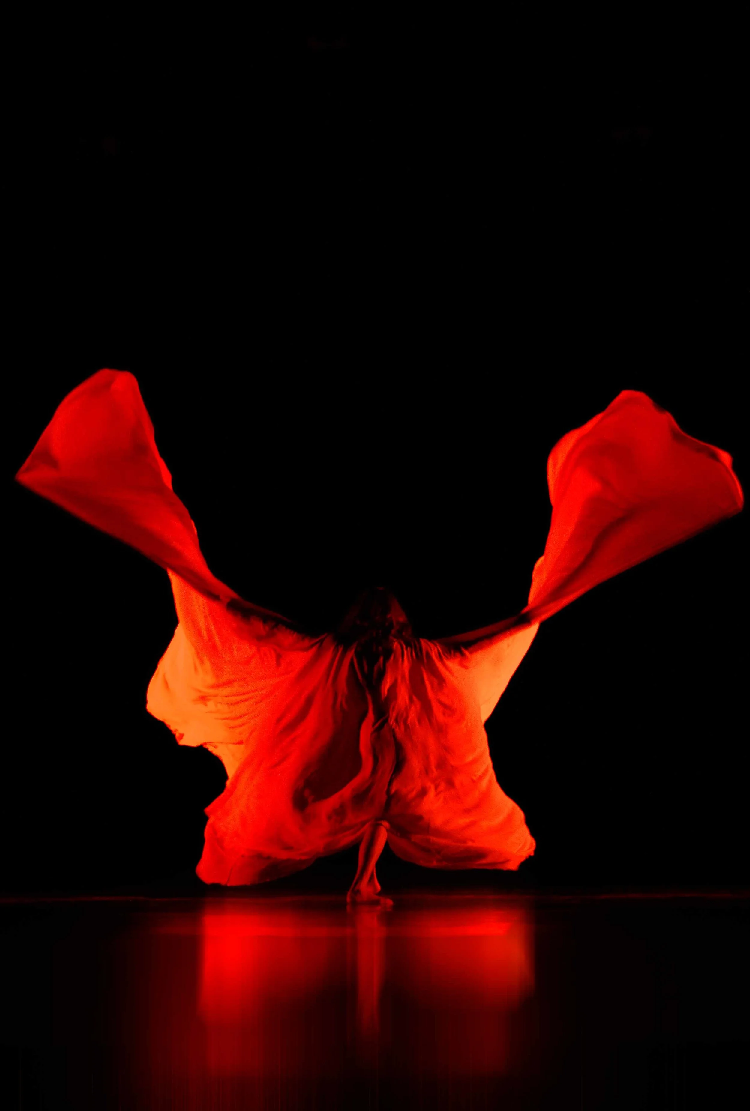 2012Feb26_HomageVI_Red_7735.jpg