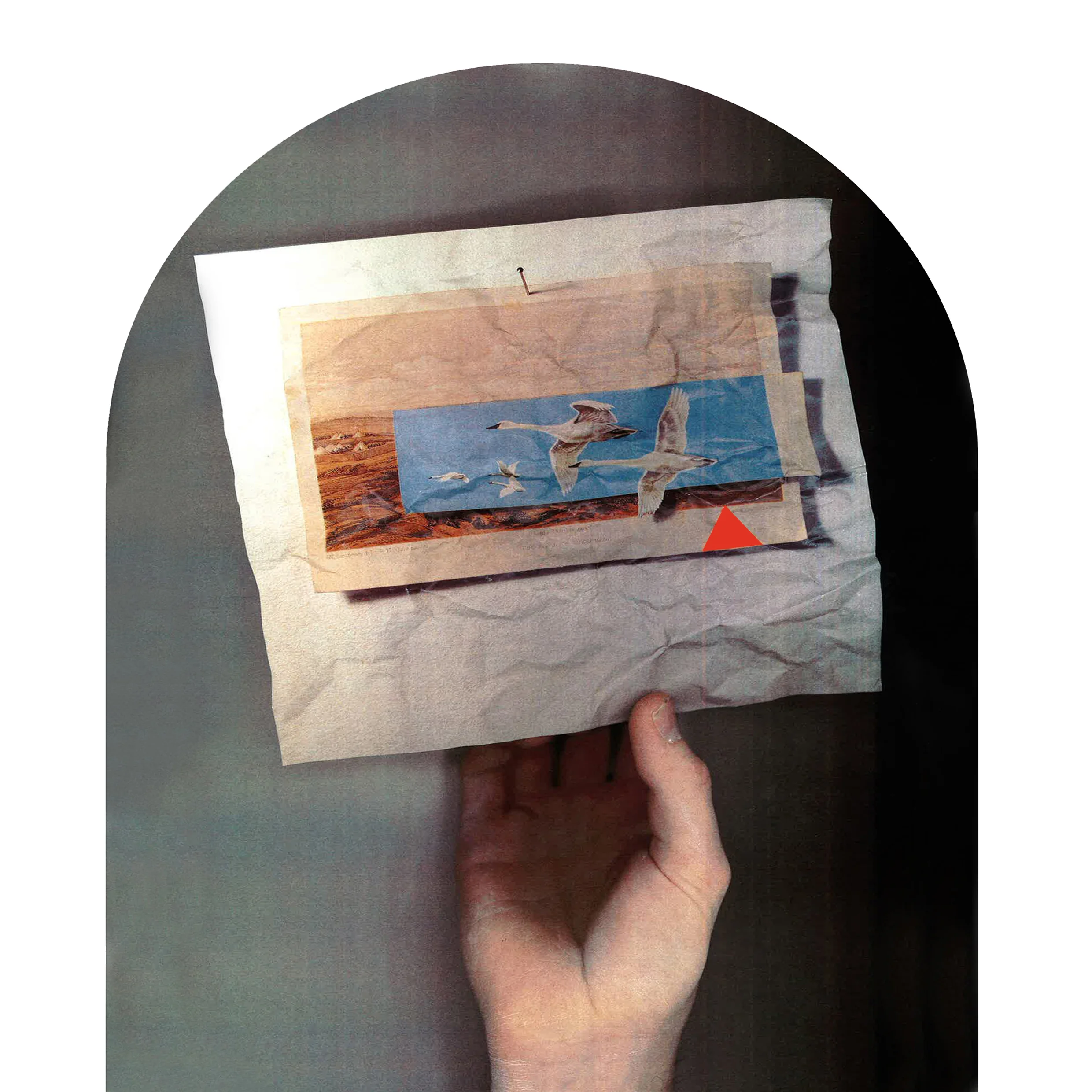 Tromp L'Oeil