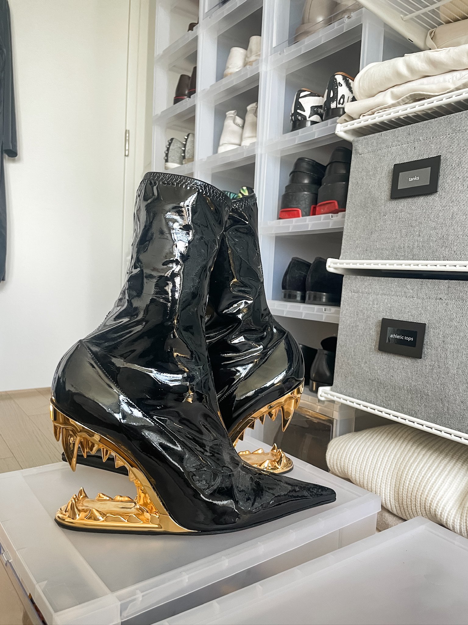Organized Designer Shoe Collection