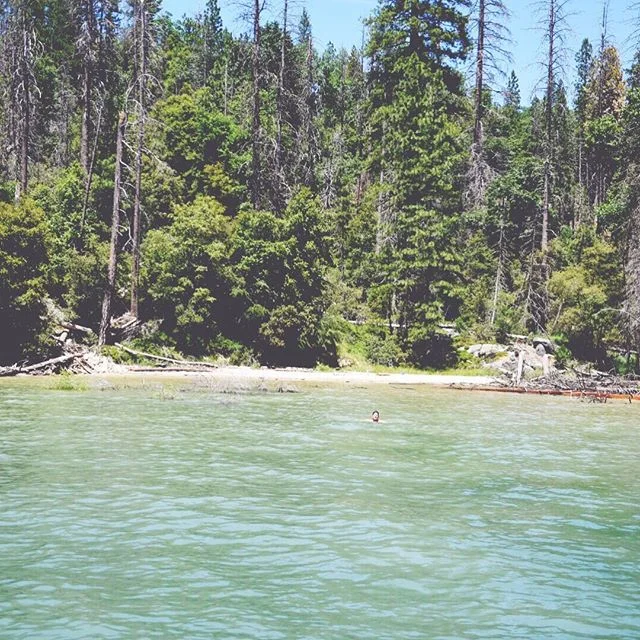 A beautiful day on Bass Lake. I could live here. Maybe one day we will ❤️
.
.
.
.
.
.
.
#basslake #california #optoutside #lakelife #boating #nikon #momtogs #summervacation