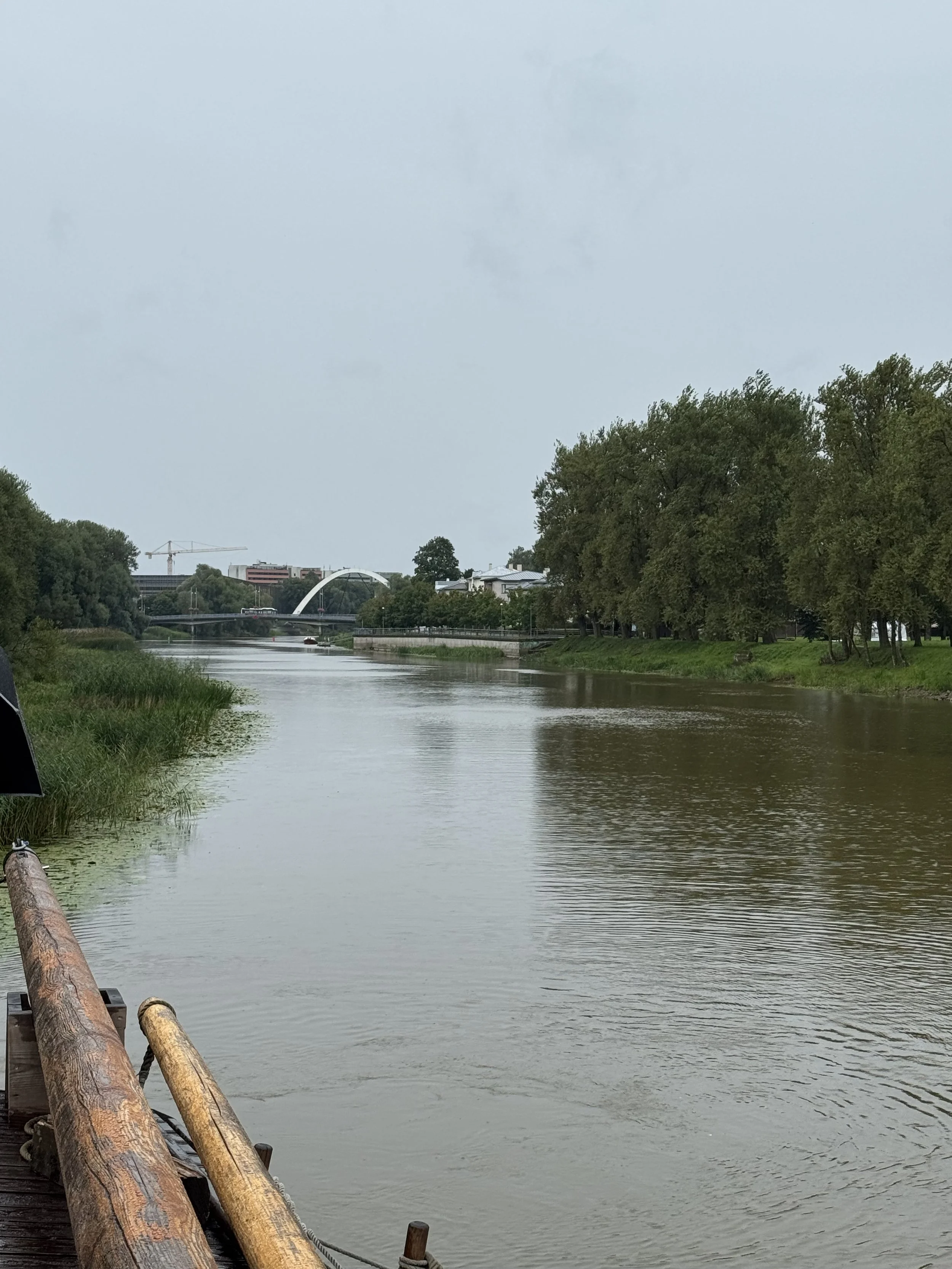 IMG_7202.jpeg