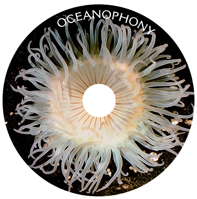 Oceanophony CD Disc.jpg