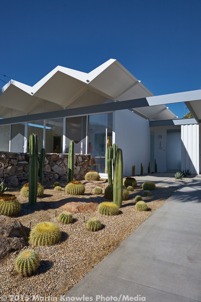 Palm-Springs-Modernism-Week-4238.jpg