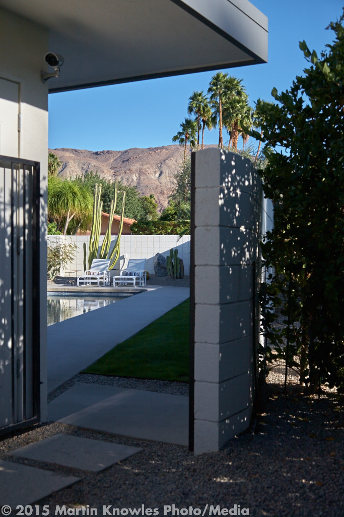 Palm-Springs-Modernism-Week-4358.jpg