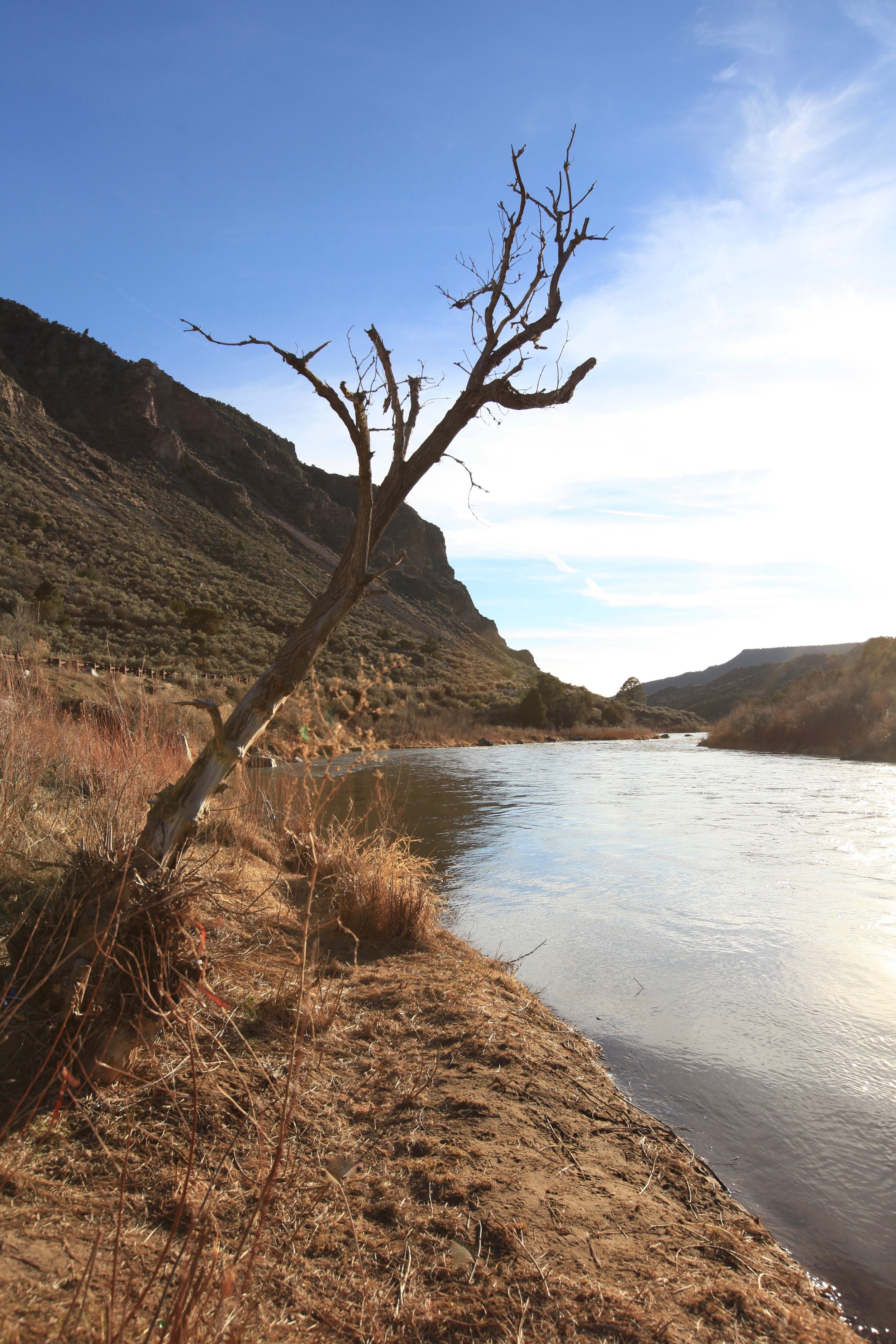  The Rio Grande - such a romantic river - just south of Taos. 